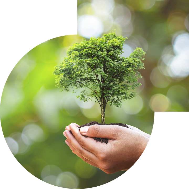 关怀人类、文化、环境与社会